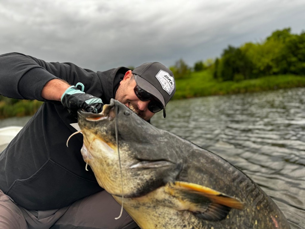 Fishing – large catfish catch