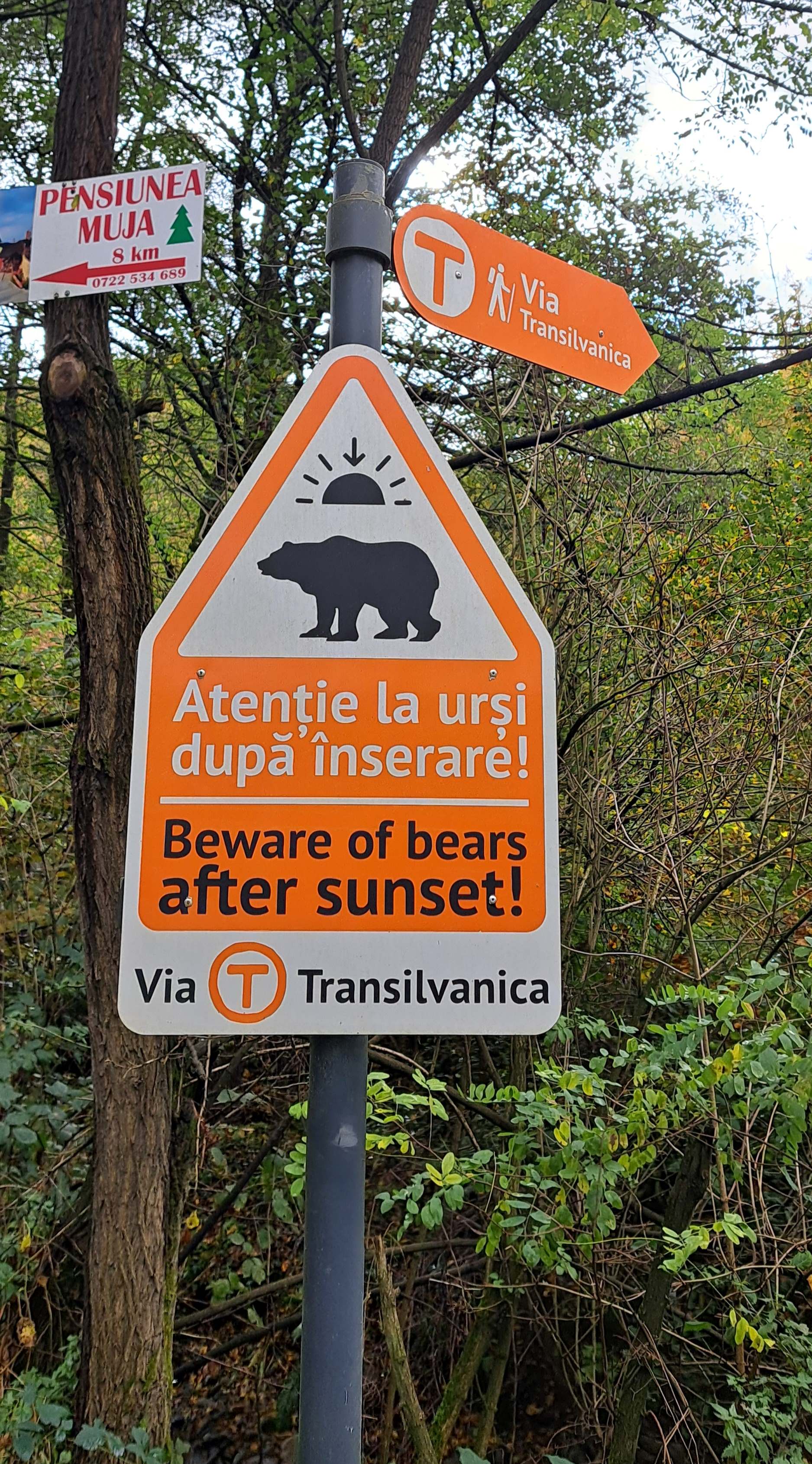 Via Transilvanica – mountain and trail